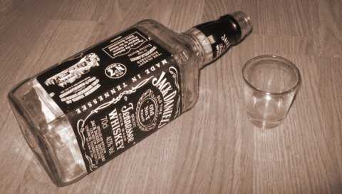 Empty Bottles Ringtone Download Free