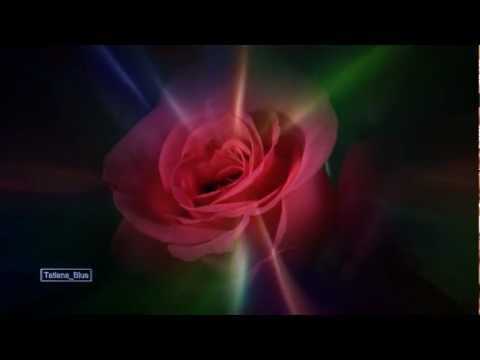 The Rose Ringtone Download Free