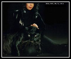 Black Cat Ringtone Download Free