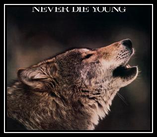 Never Die Young Ringtone Download Free