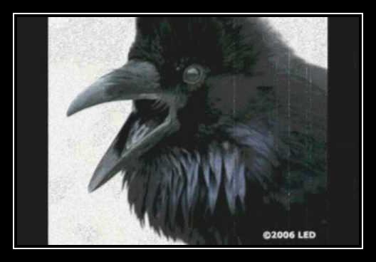 The Raven Ringtone Download Free