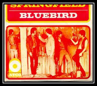 Bluebird Ringtone Download Free