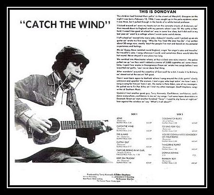 Catch The Wind Ringtone Download Free