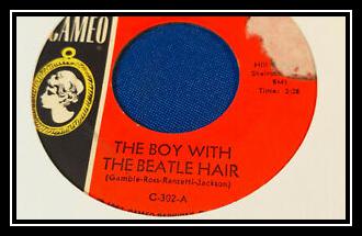 The Boy With The Beatle Hair Ringtone Download Free