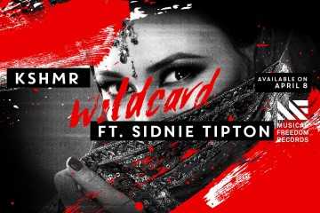 Wildcard Ringtone Download Free