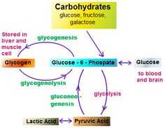 Carbohydrate Ringtone Download Free