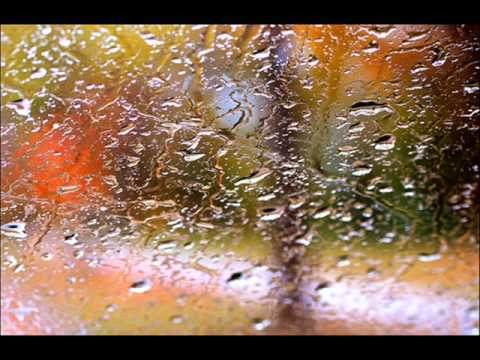 The Rain Ringtone Download Free