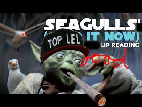 SEAGULLS Stop It Now Ringtone Download Free