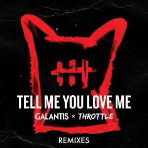 Tell Me You Love Me Ringtone Download Free