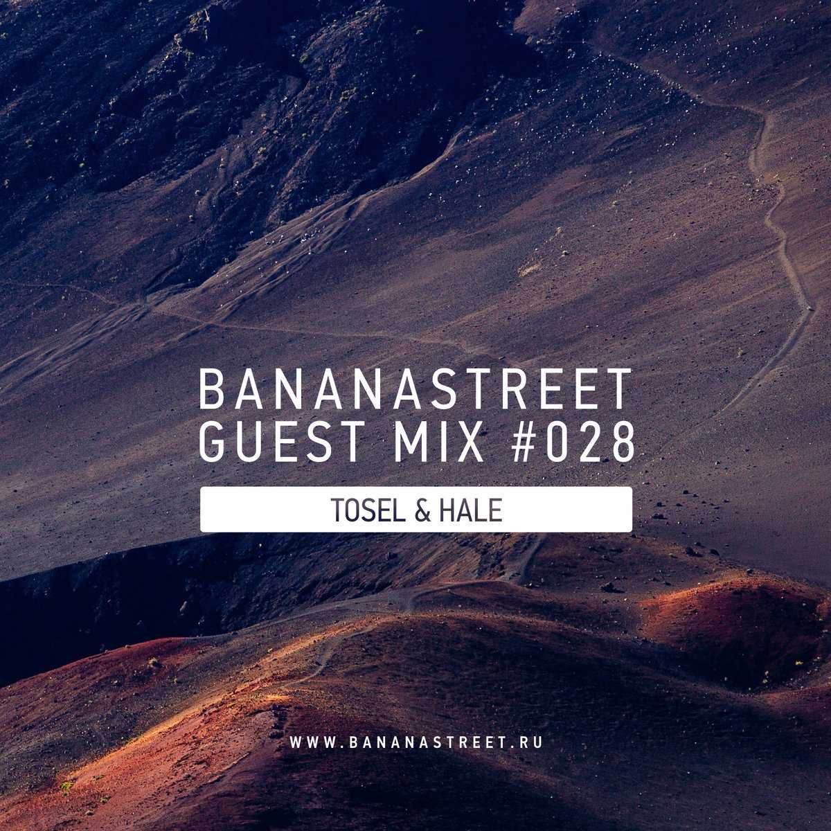 Bananastreet Guest Mix #006 Track 12 Ringtone Download Free