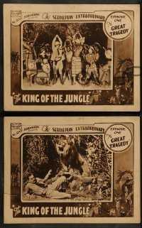 King Of The Jungle Ringtone Download Free