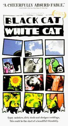 Black Cat White Cat Ringtone Download Free