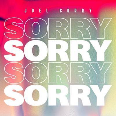 Sorry Ringtone Download Free