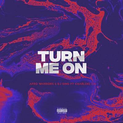 Turn Me On (Vocal Mix) Ringtone Download Free