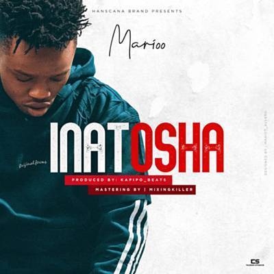 Inatosha Ringtone Download Free