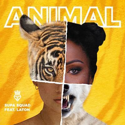 Animal Ringtone Download Free