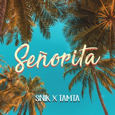 Senorita Ringtone Download Free