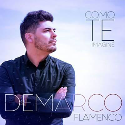 Como Te Imaginé Ringtone Download Free