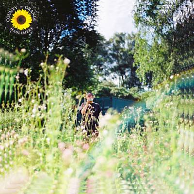 Sunflower Ringtone Download Free