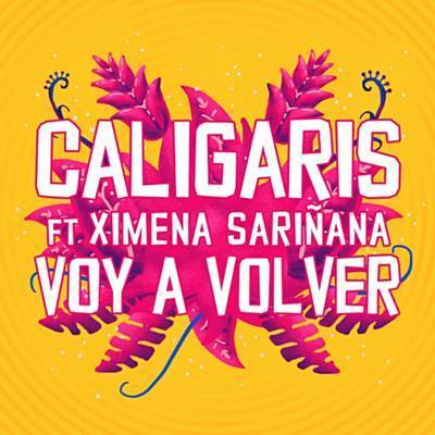 Voy A Volver Ringtone Download Free