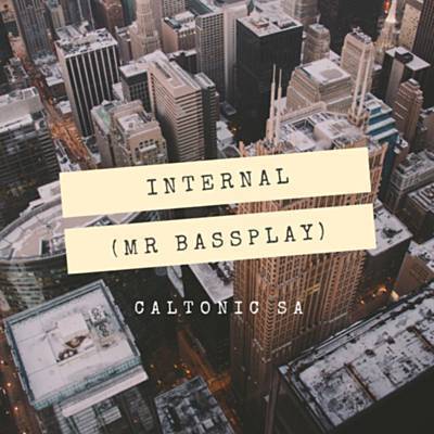 Internal (Mr Bassplay) Ringtone Download Free